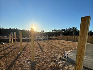 Wood Fencing 3